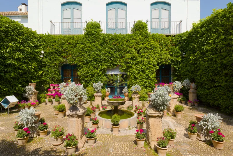 Patio del Palacio de Viana con una fuente en el centro, macetas de geranios y plantas de hojas plateadas y las paredes cubiertas de hiedra.